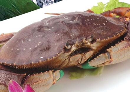 海鮮大禮包知道怎么挑選嗎