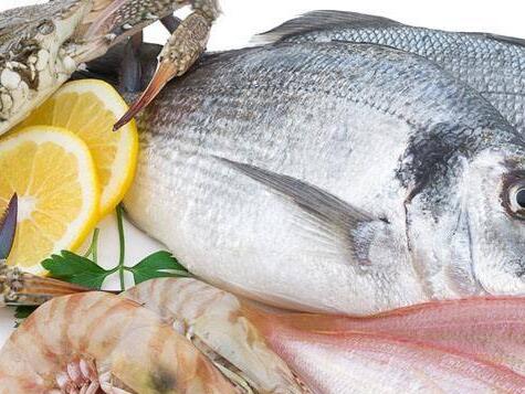 哪些人不能常吃海鮮呢？